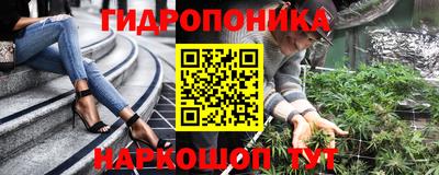прущие грибы Апшеронск
