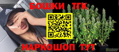 прущие грибы Апшеронск