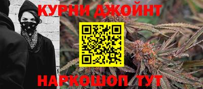 прущие грибы Апшеронск